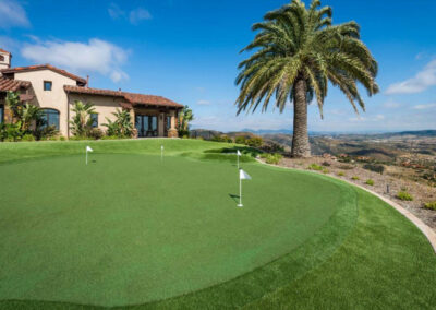 putting green and palm trees